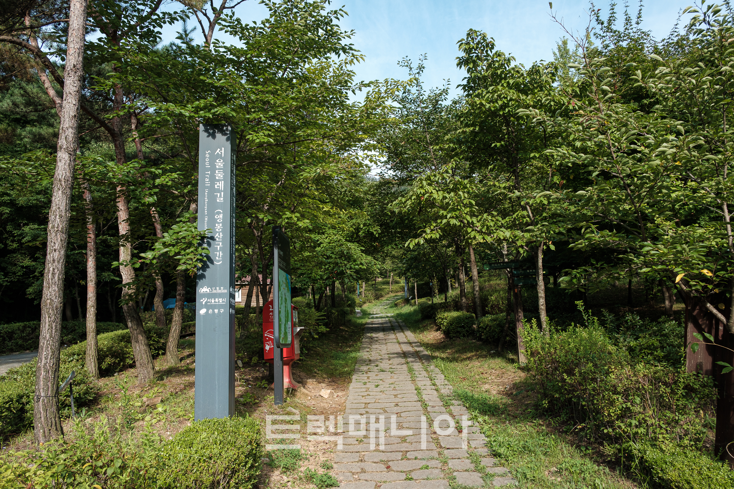 숲길 이미지