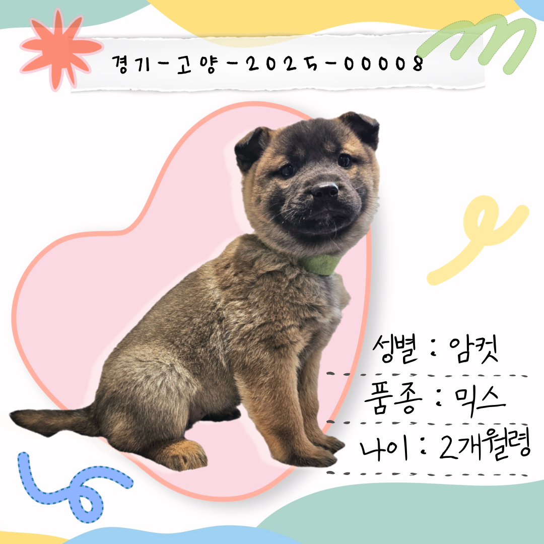 동그리 이미지