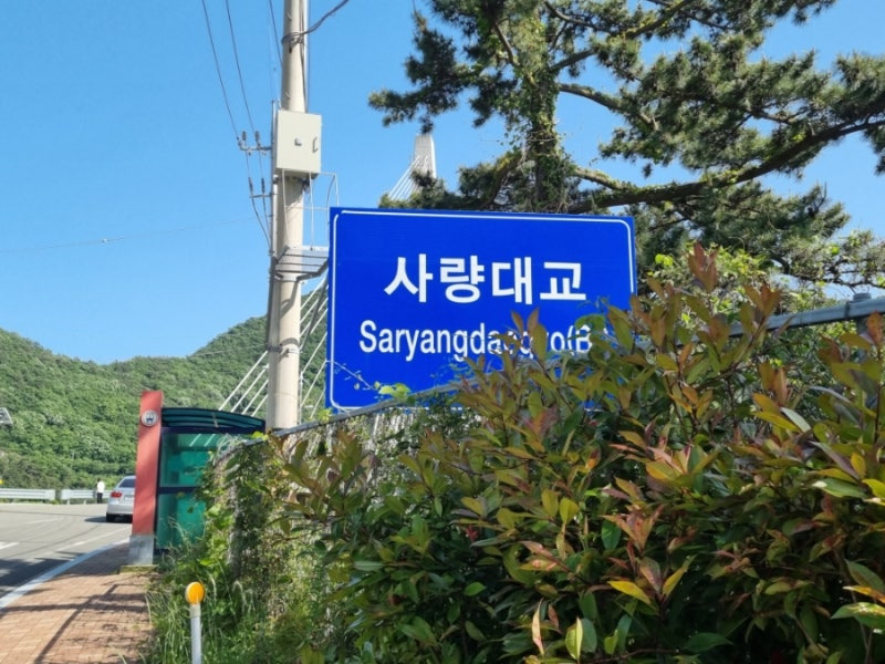 청심 이미지