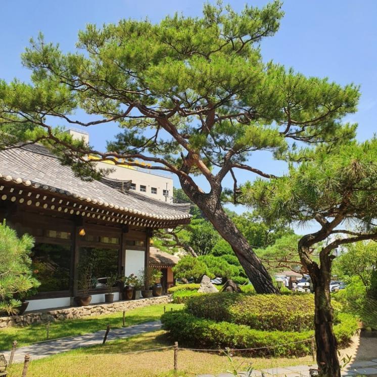 경기식당 이미지