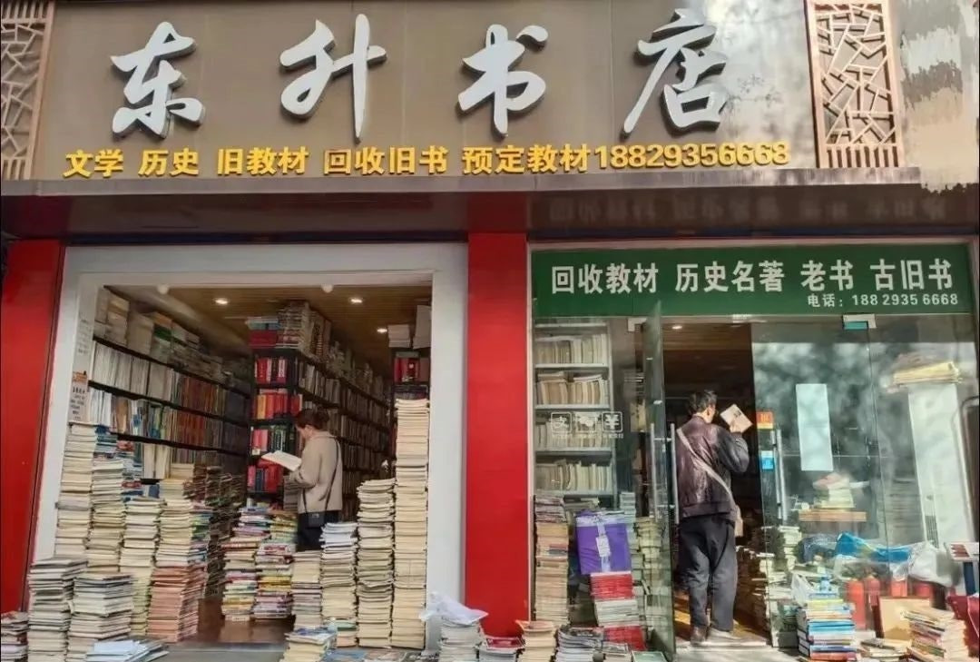 시안 이미지