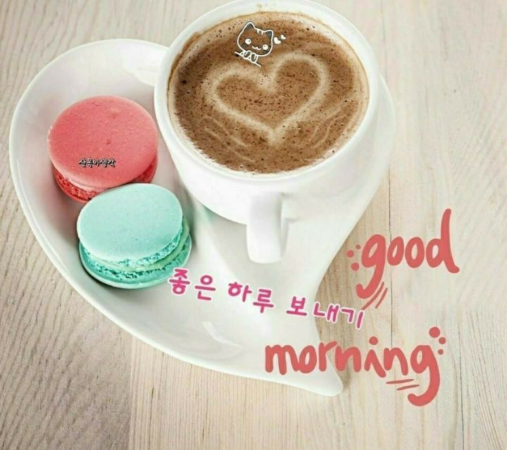 피 이미지