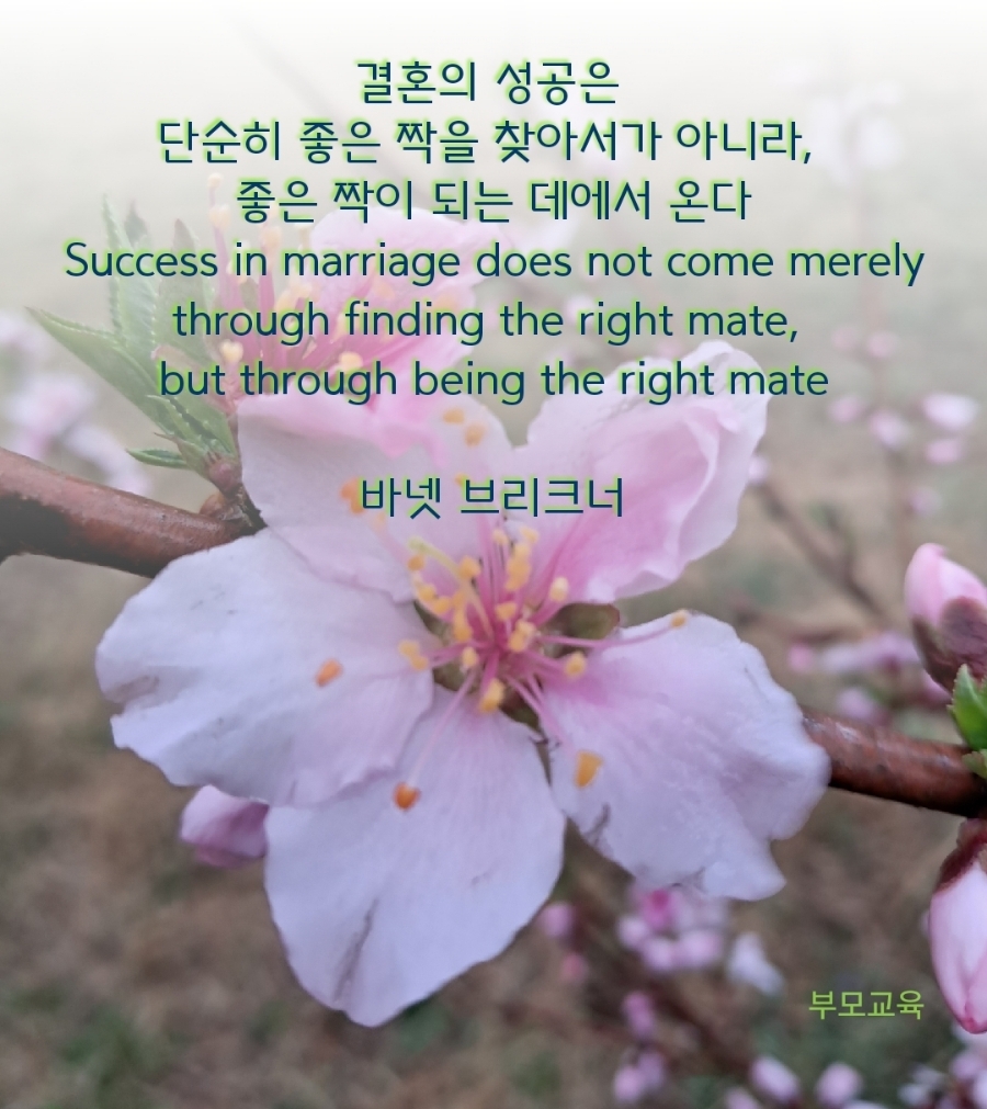사랑열쇠 이미지