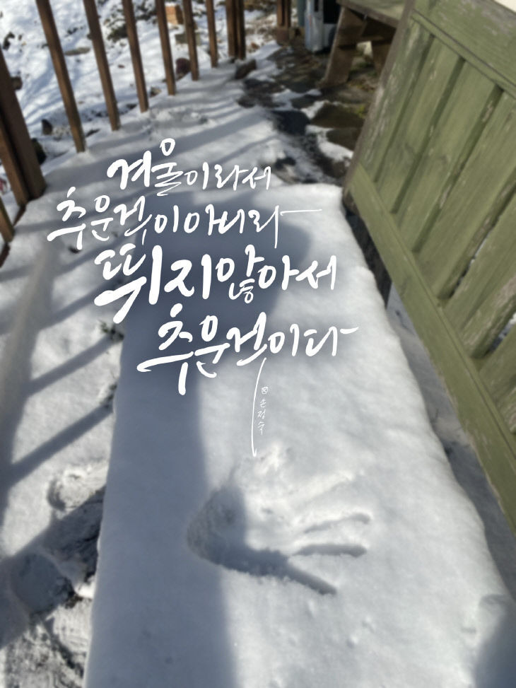 캘리 이미지