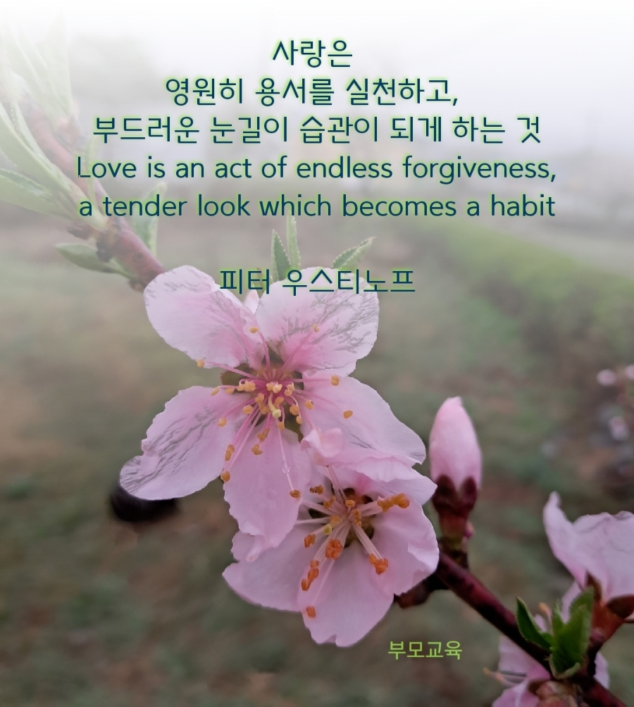 사랑열쇠 이미지