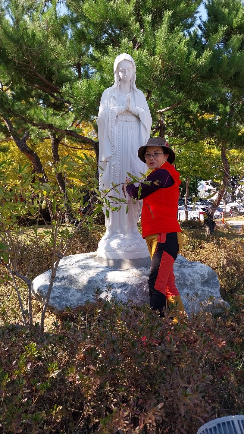 장성한옥 이미지