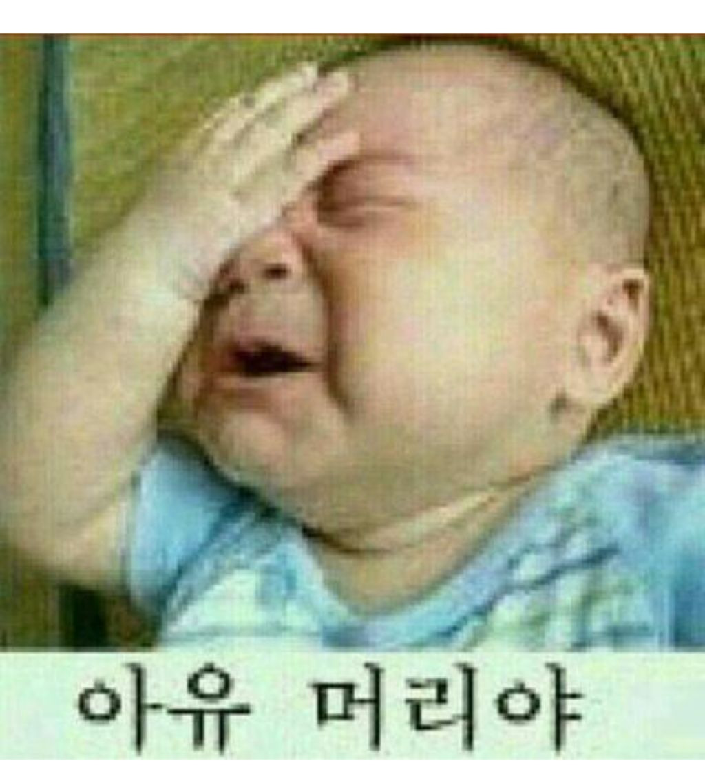 영구네 이미지