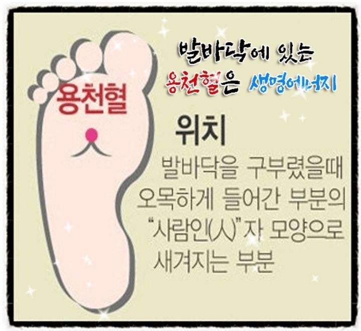 생명에너지 이미지