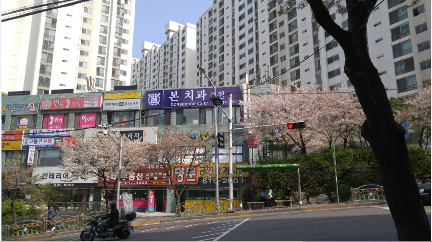 본치과 이미지