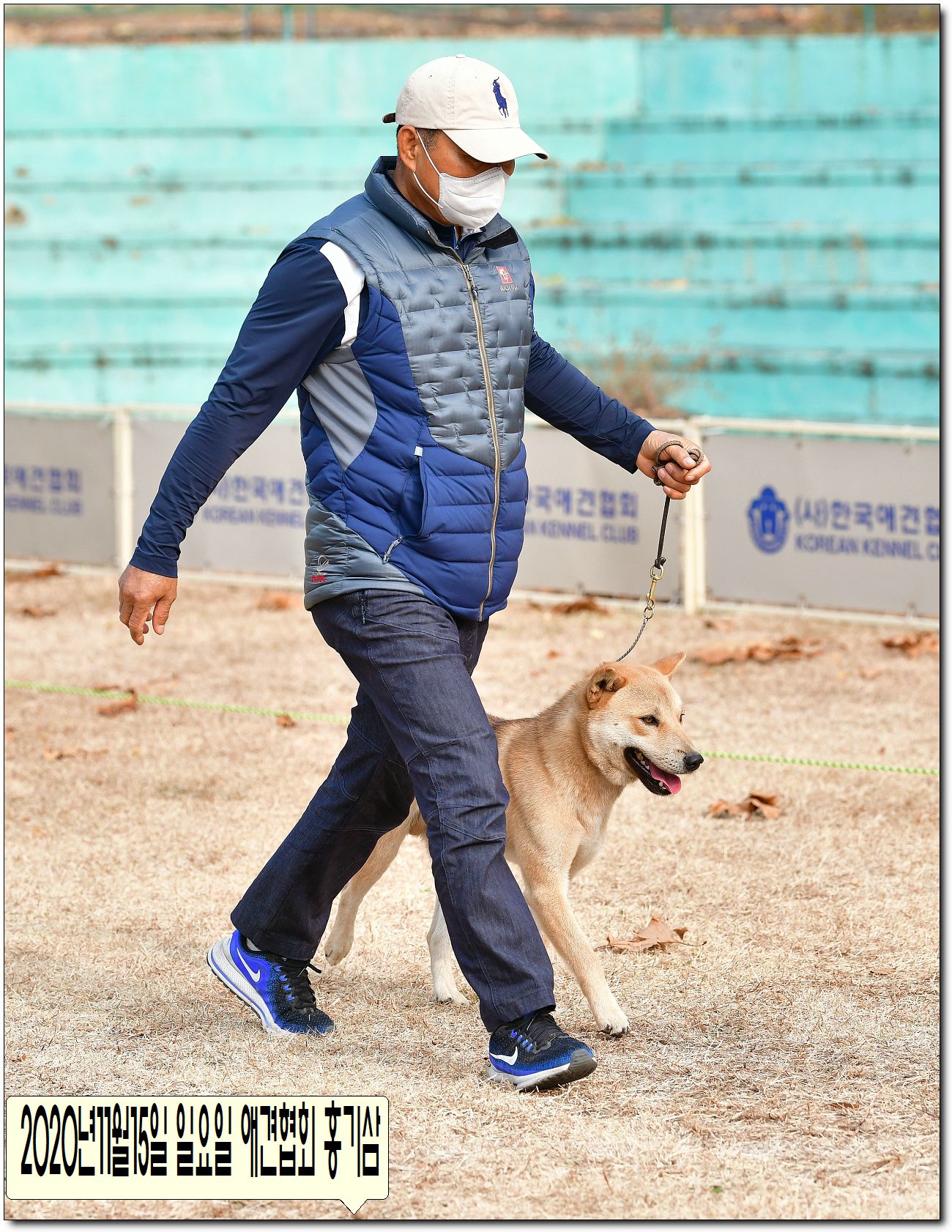수컷 이미지