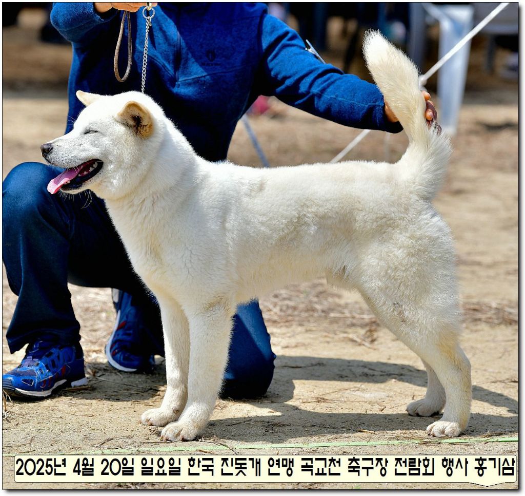 부광 이미지