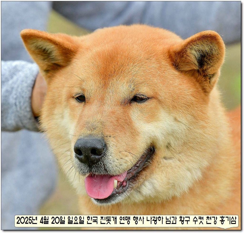 천강 이미지