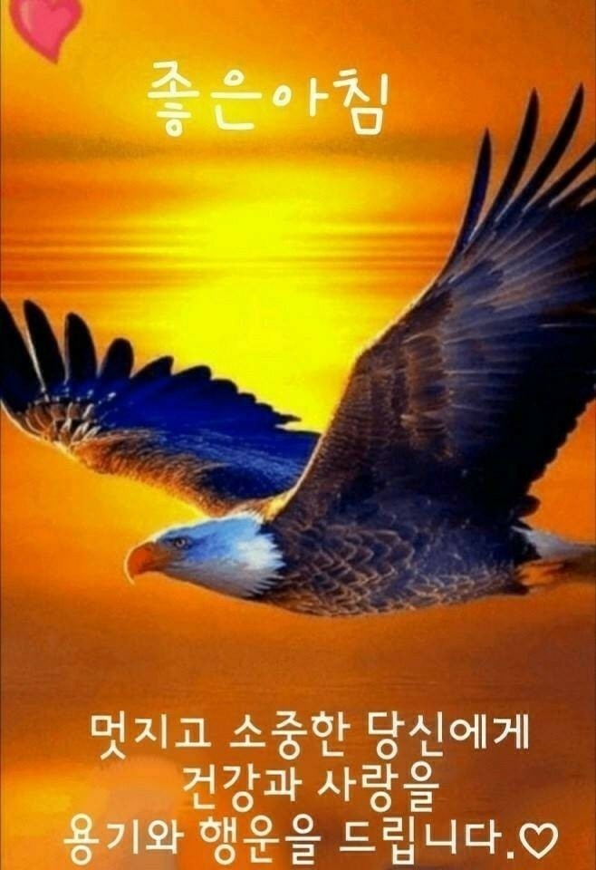 밥숟가락 이미지
