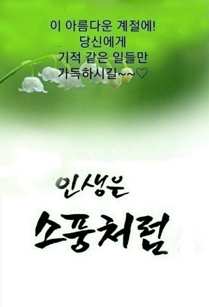 하네 이미지
