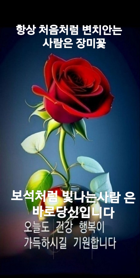 마음담아 이미지