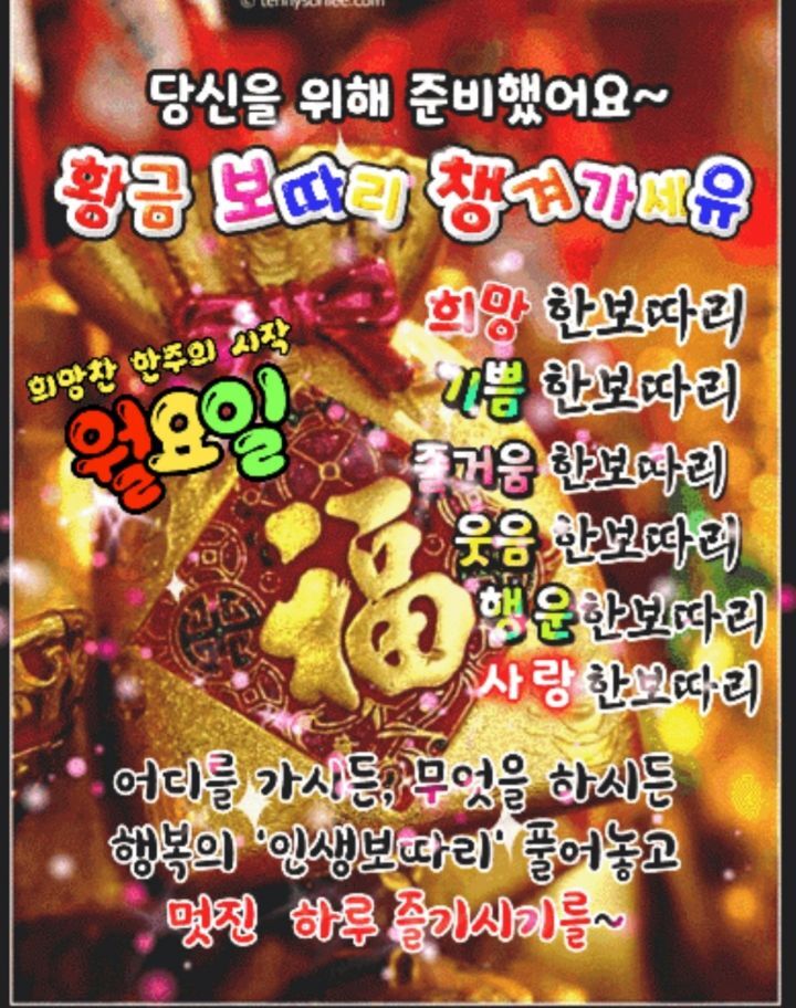 보따리주 이미지