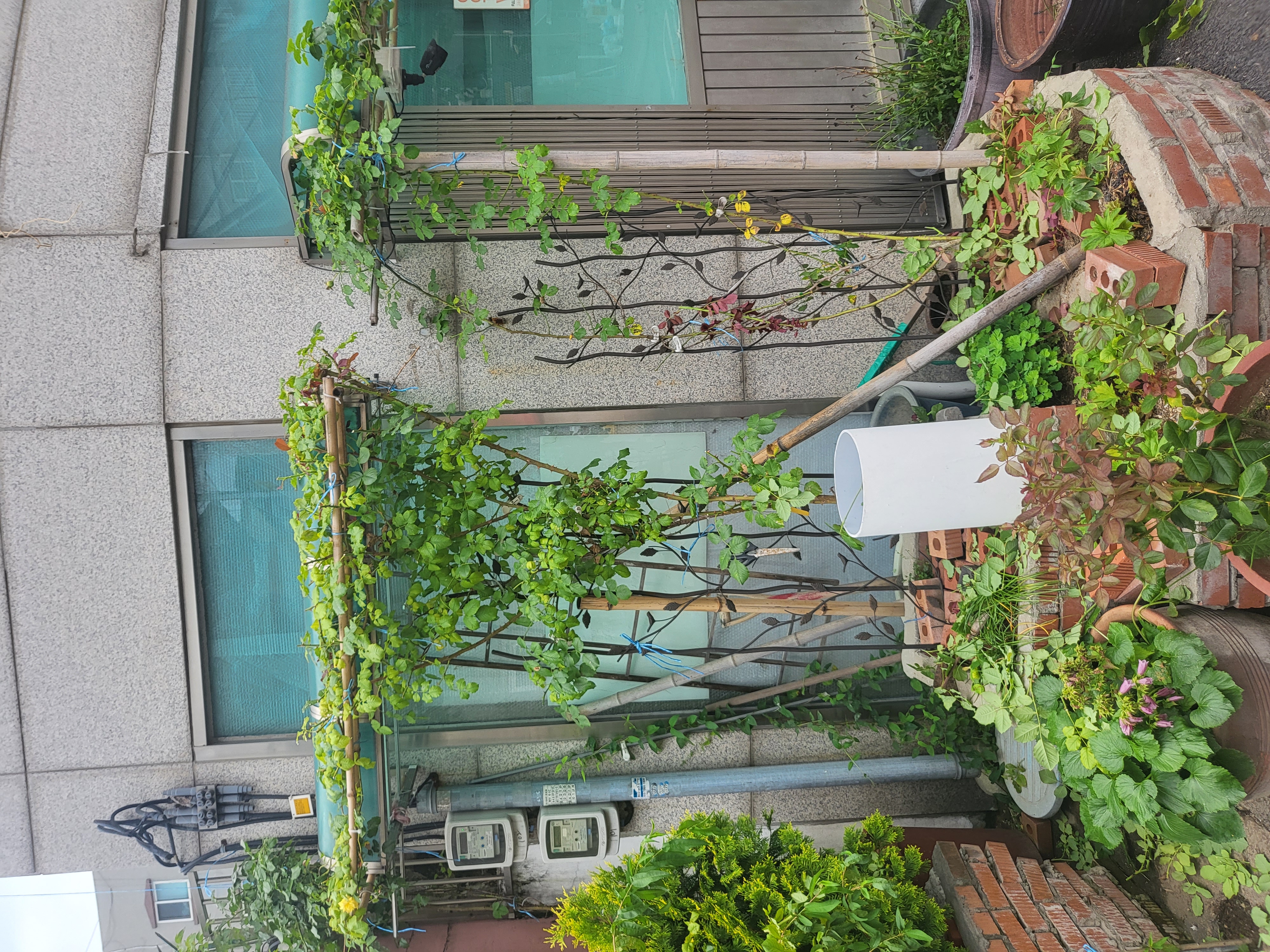 장미미장원 이미지