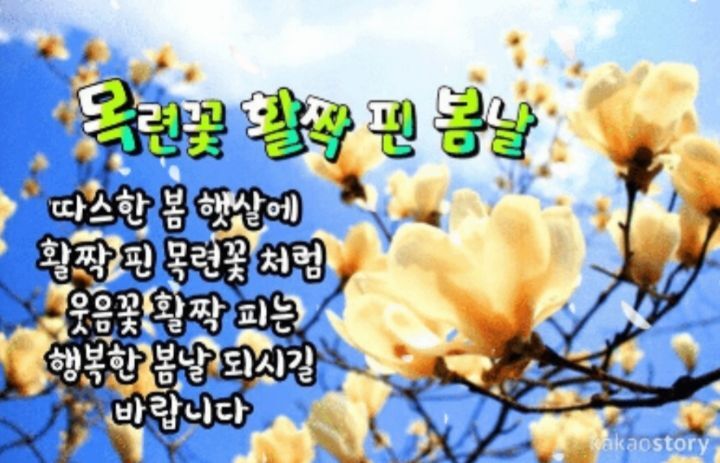 꽃피는봄날 이미지