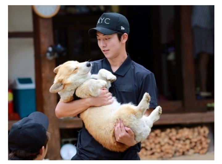 실제로 보면 많이 놀란다는 견종 gif | 인스티즈