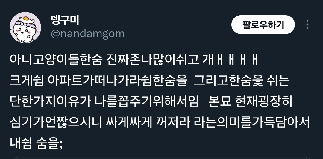 고양이도 한숨을 쉬어? | 인스티즈