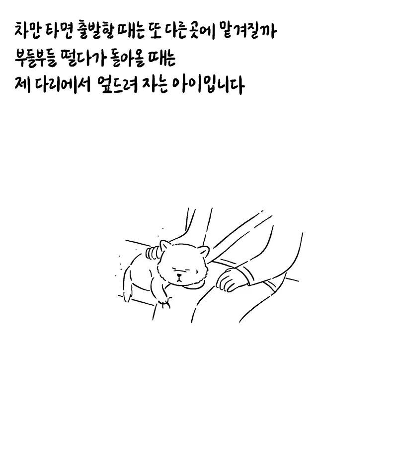 전 주인에게 사랑받지 못하고 이 집 저 집 맡겨져서 키워진 강아지를 입양했습니다 | 인스티즈