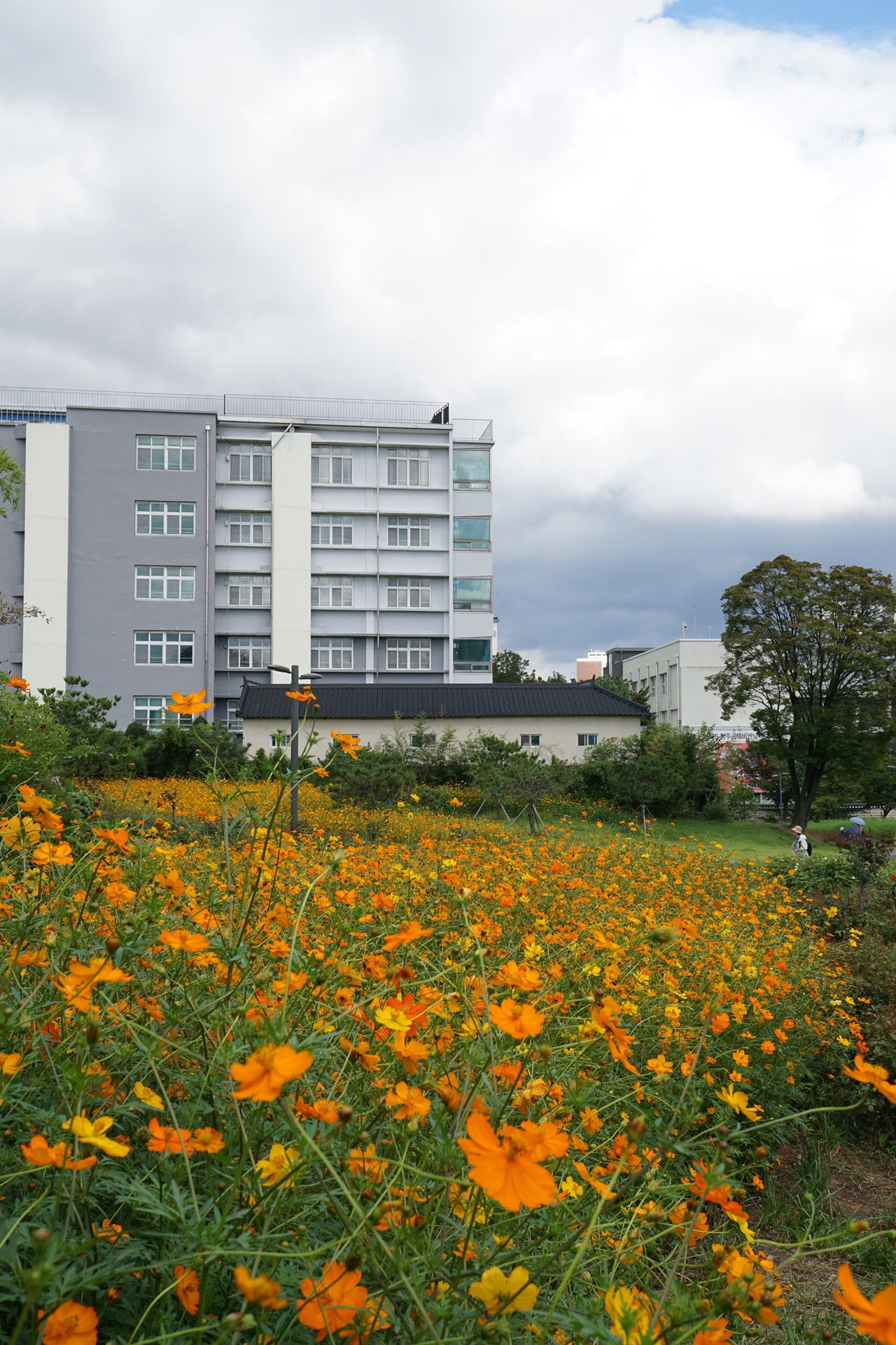 송현공원 이미지