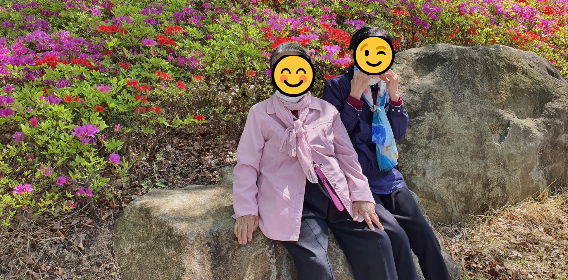 수피아 이미지
