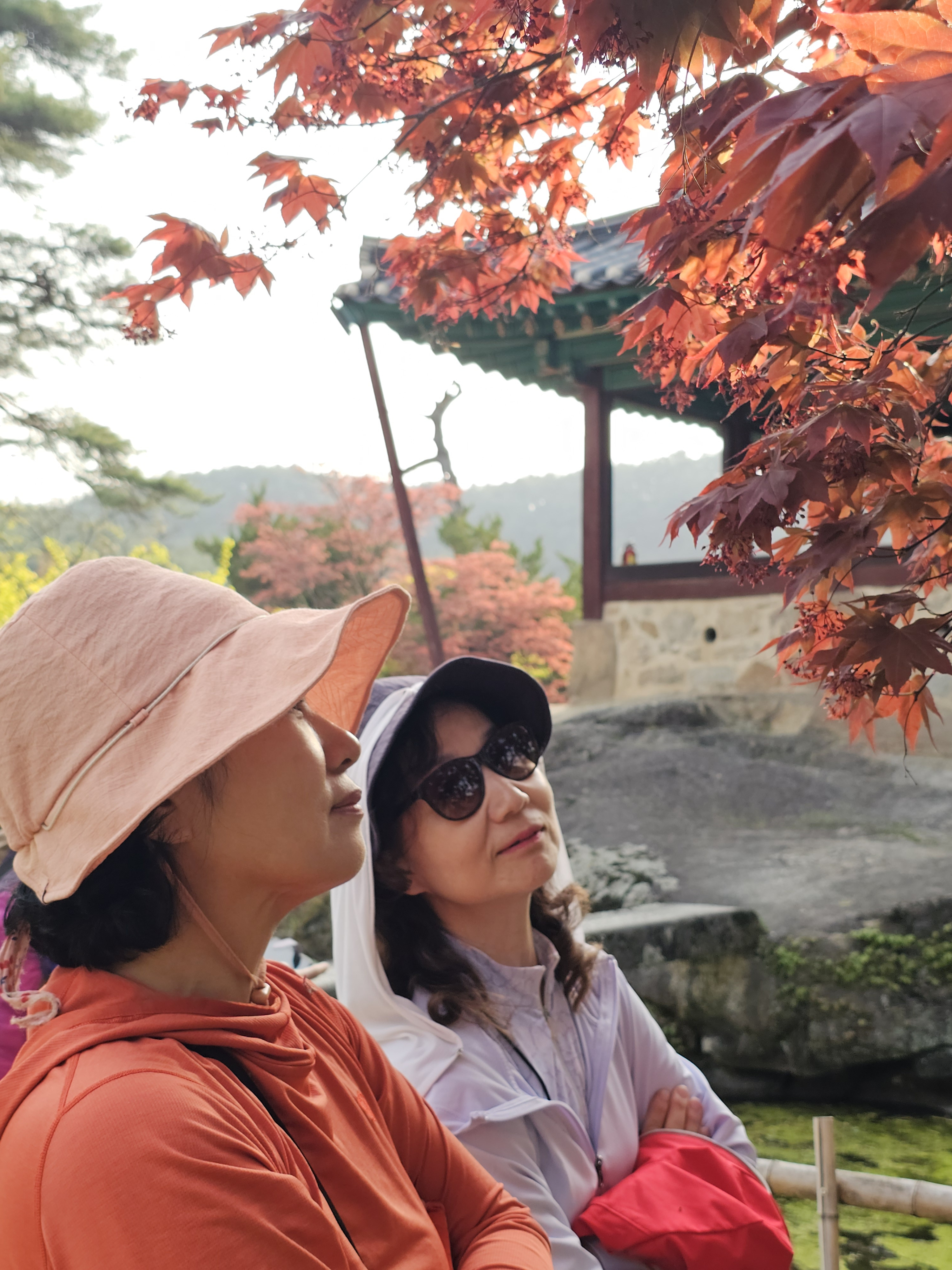 오렌지꽃향기는바람에날리고 이미지