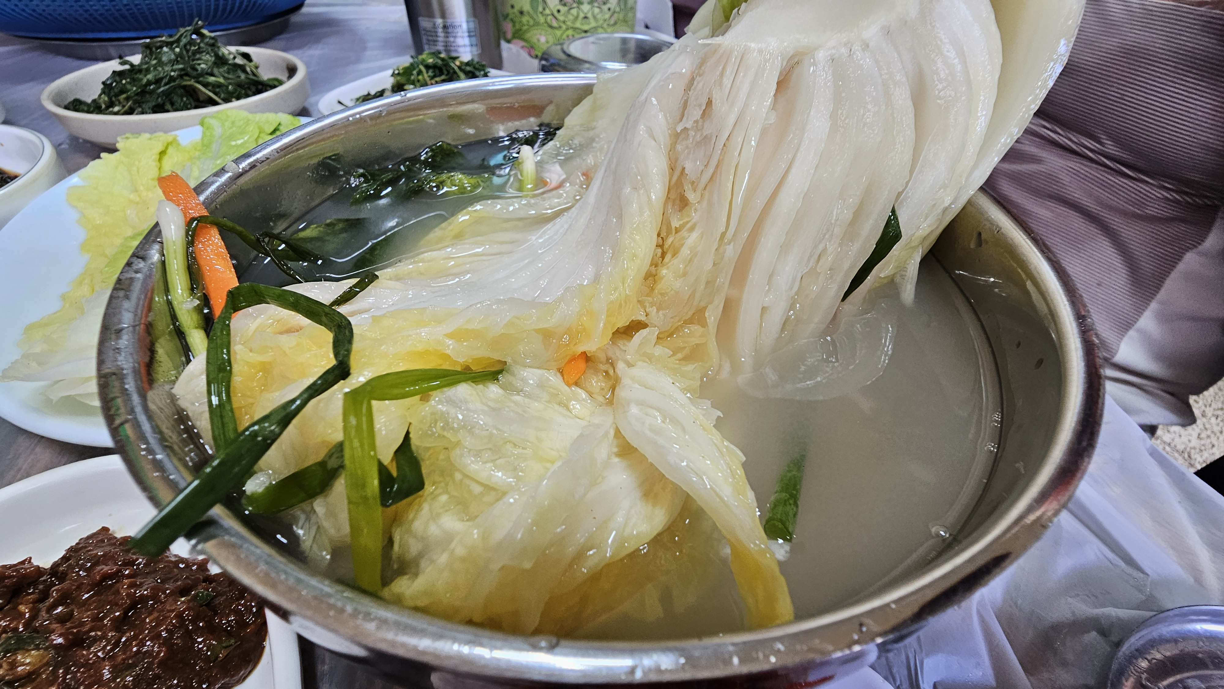 낙엽송숲 이미지