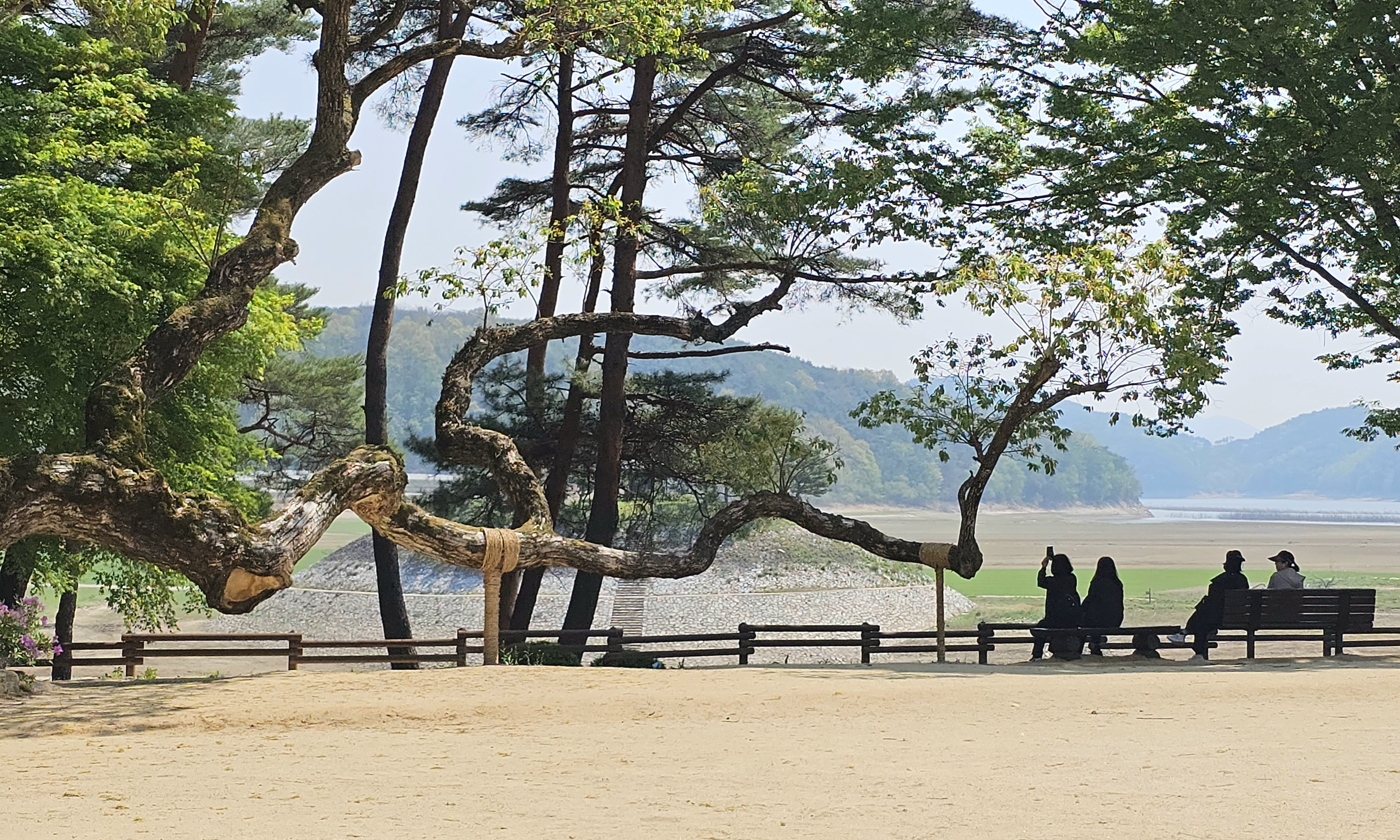 오렌지꽃향기는바람에날리고 이미지