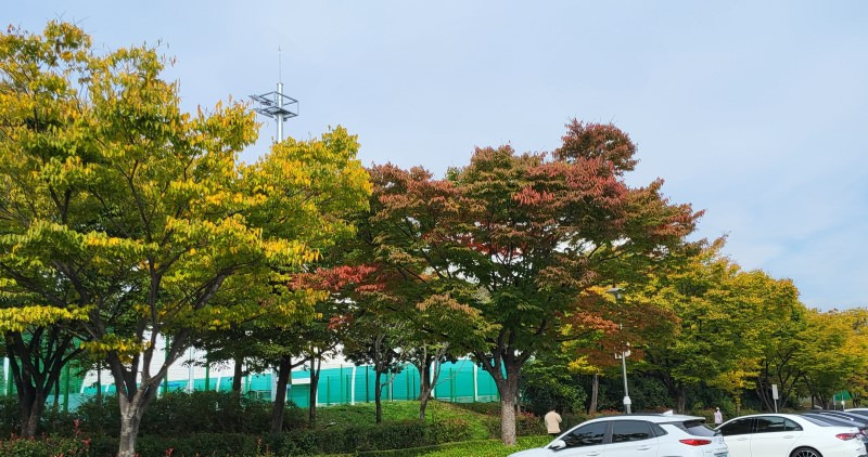 노란열매 이미지