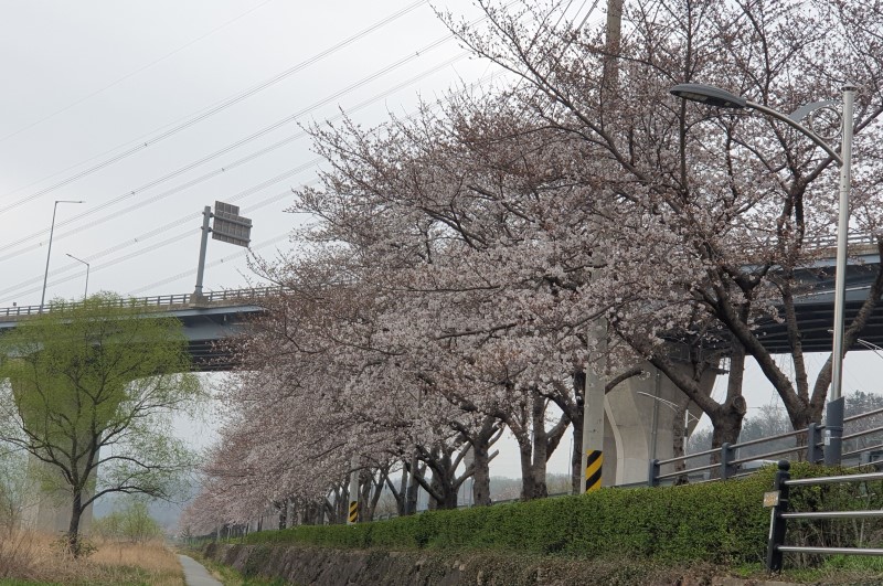 한냉 이미지