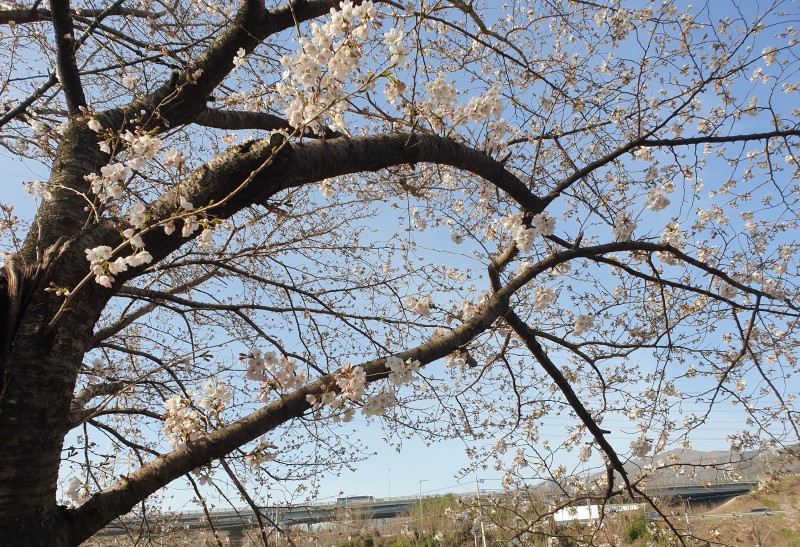 한냉 이미지