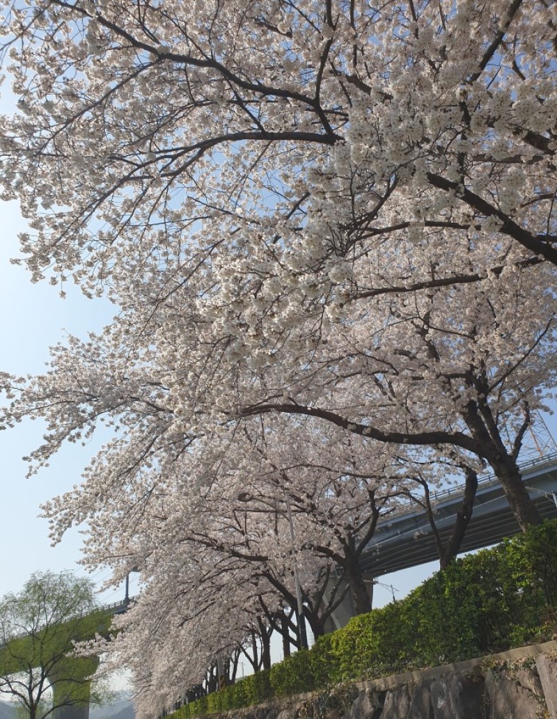한냉 이미지