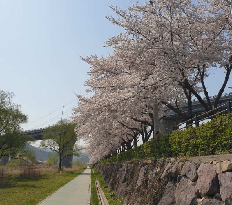 한냉 이미지