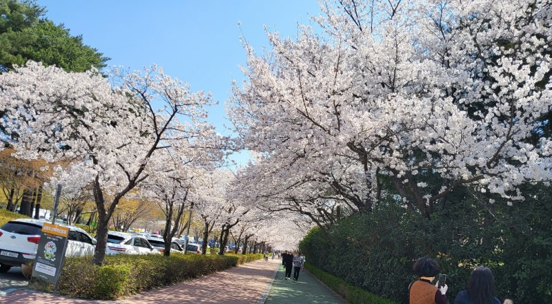 스포원 이미지