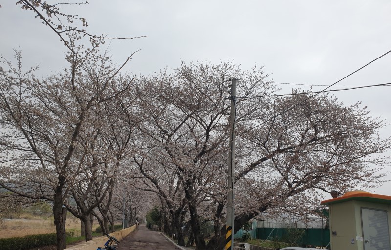 한냉 이미지