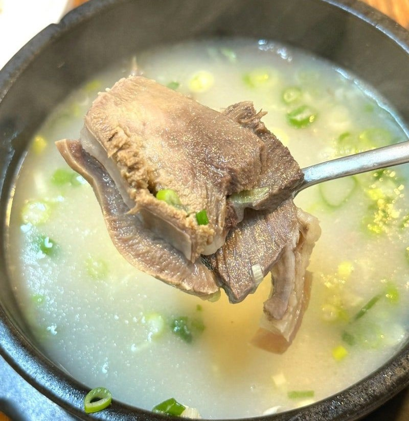 양지 이미지