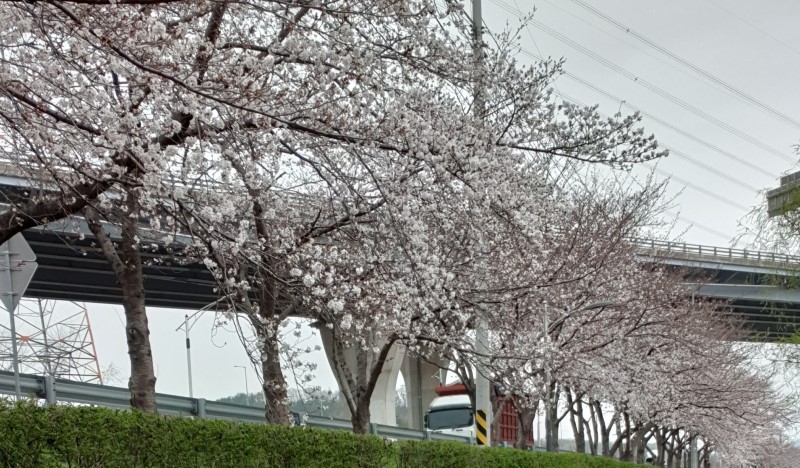 한냉 이미지