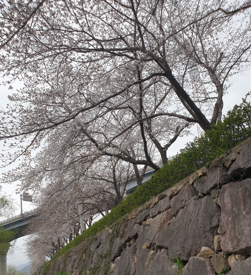 한냉 이미지