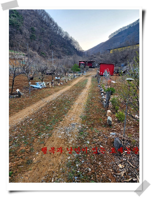 봄이야기 이미지