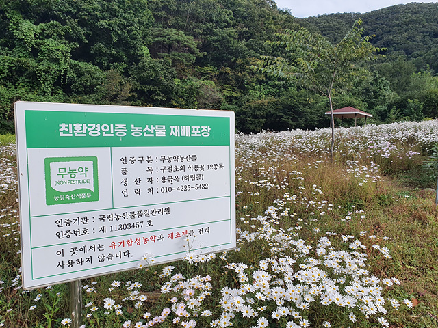 꽃길따라농장 이미지