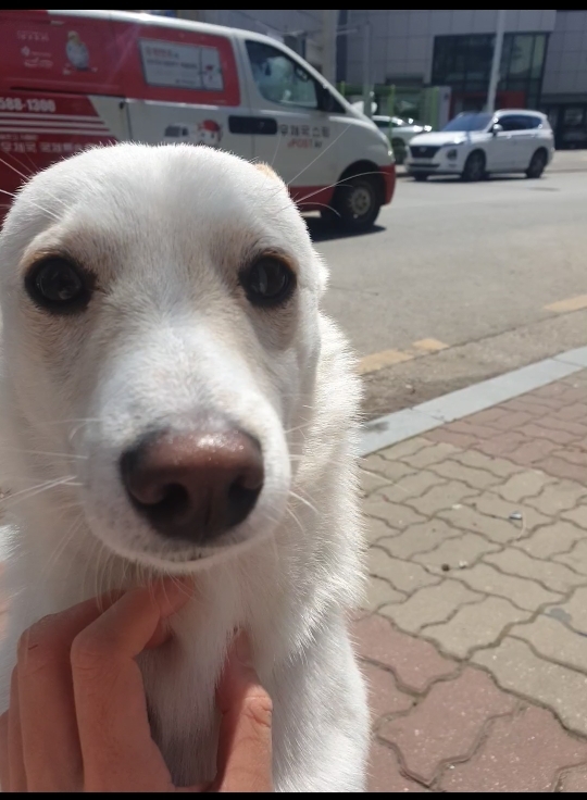 곰돌이카센터 이미지