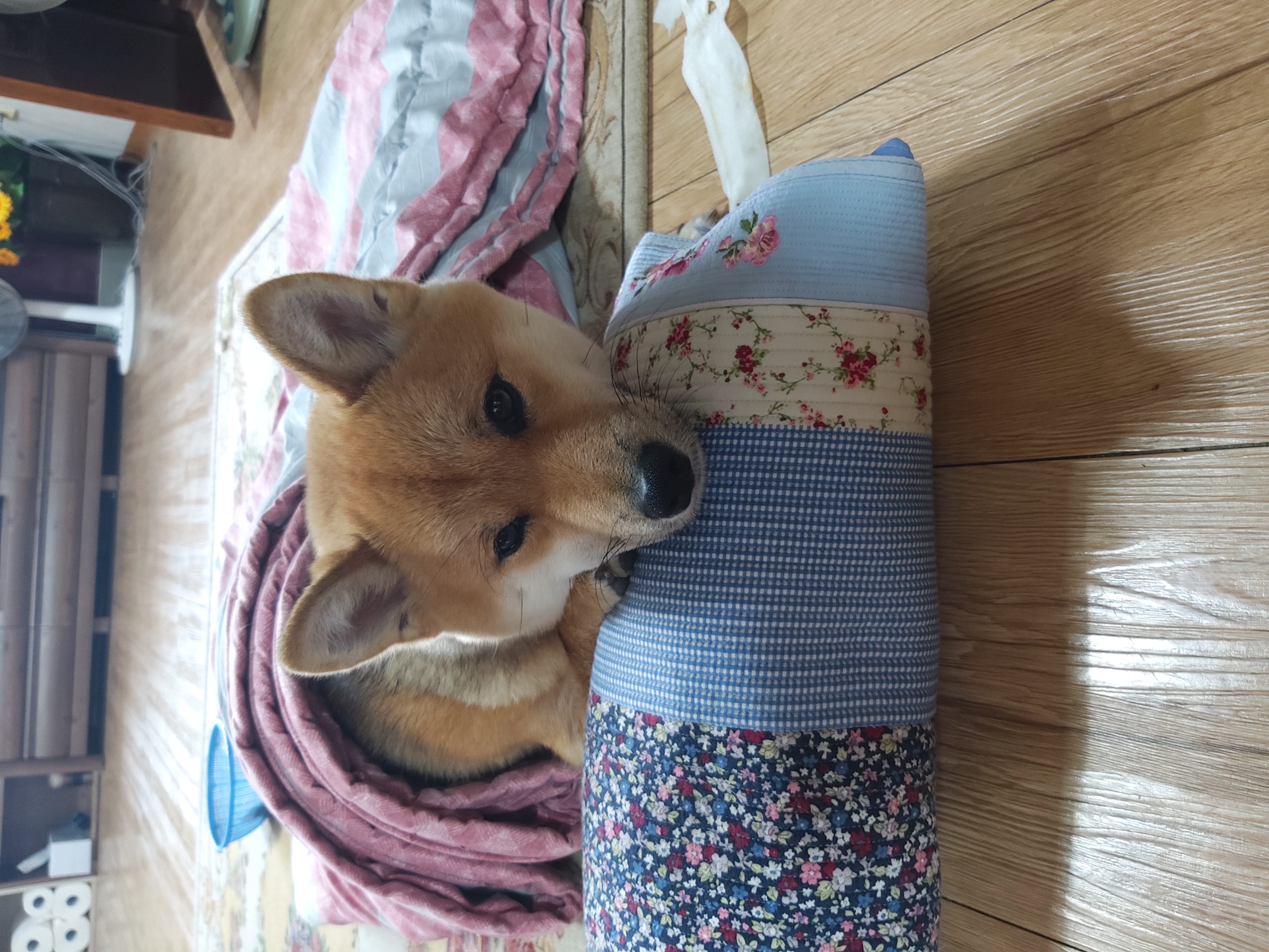 경화주유소 이미지
