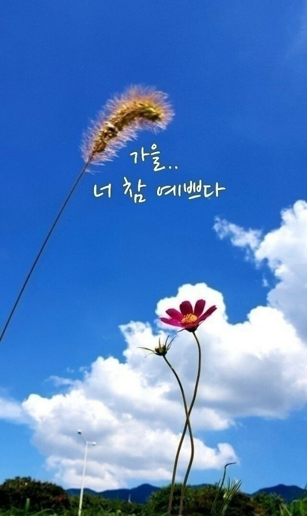 찬샘 이미지