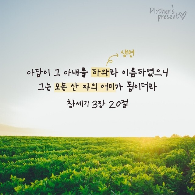 하와이유 이미지