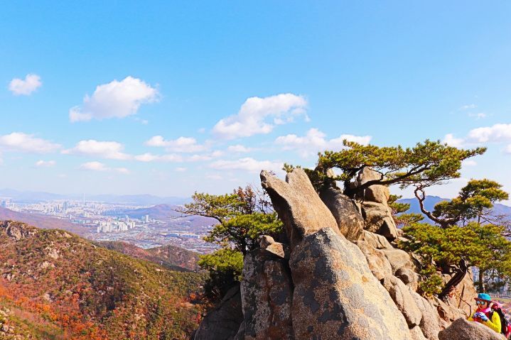 집라인 이미지
