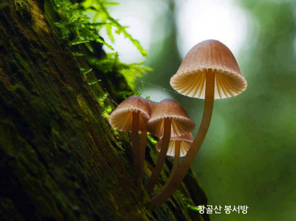 은혜유통 이미지