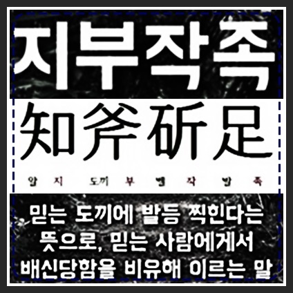 부배신발 이미지