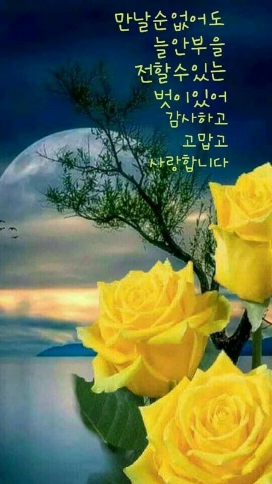 별해든 이미지